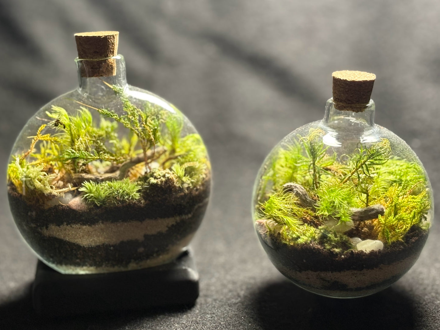 Terrarium with stand