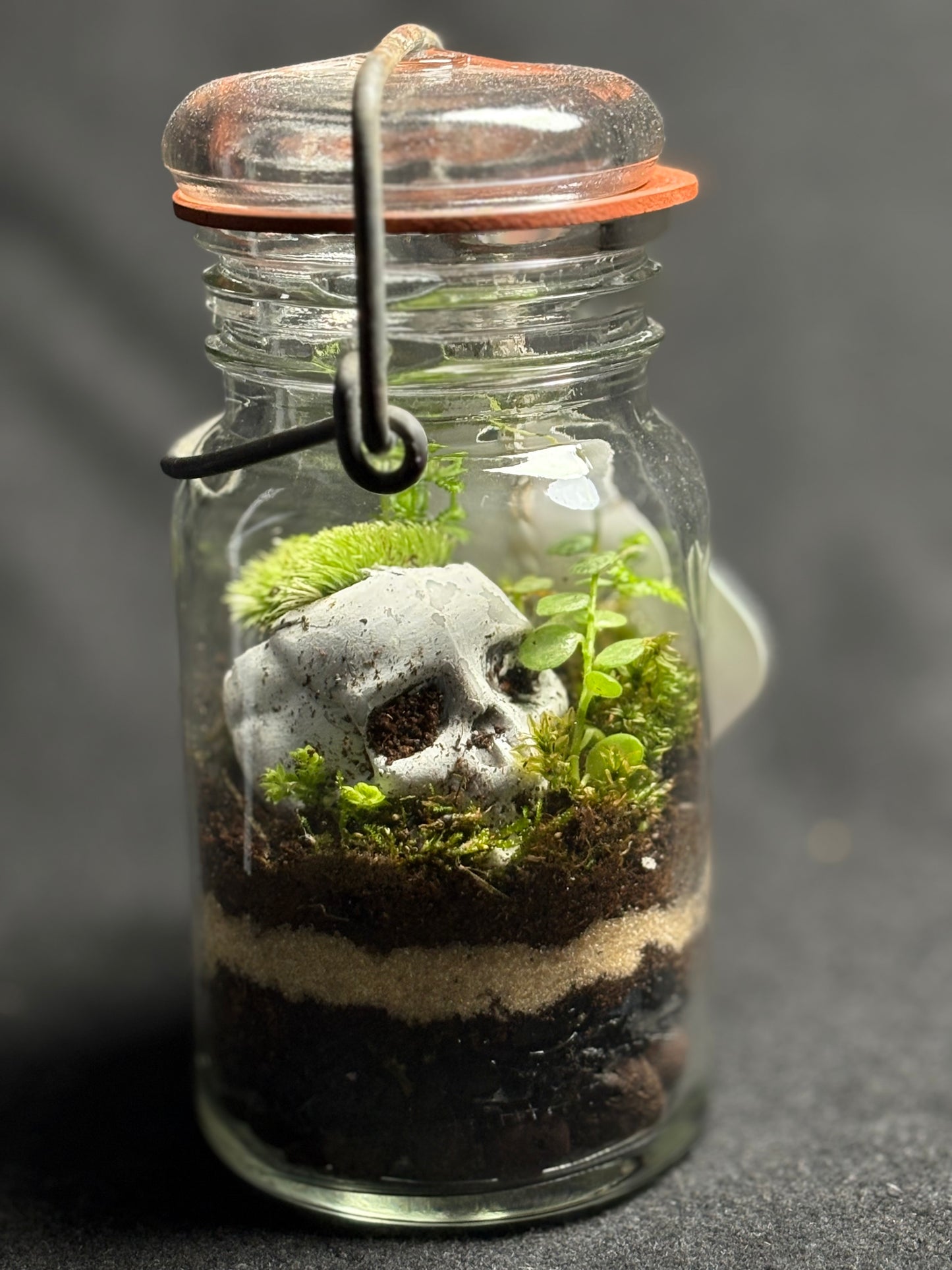 Terrarium