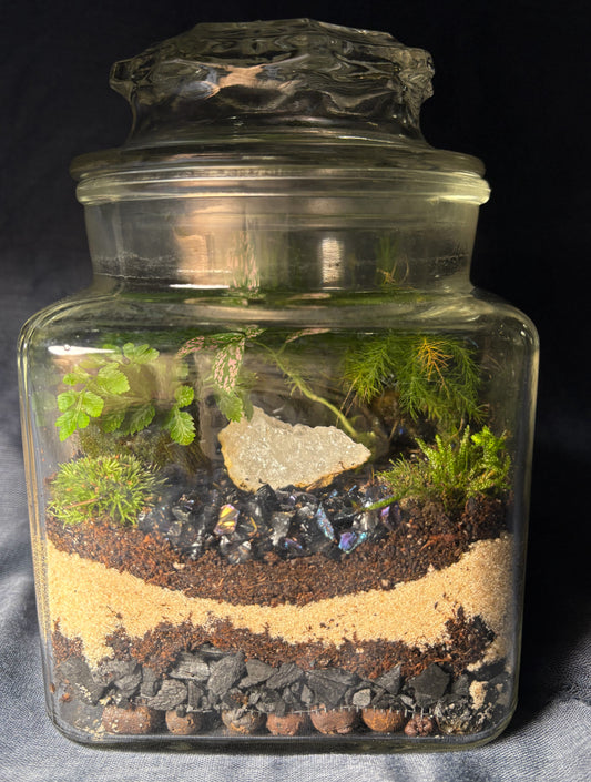 Terrarium