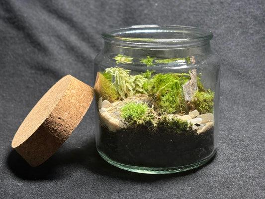 Terrarium
