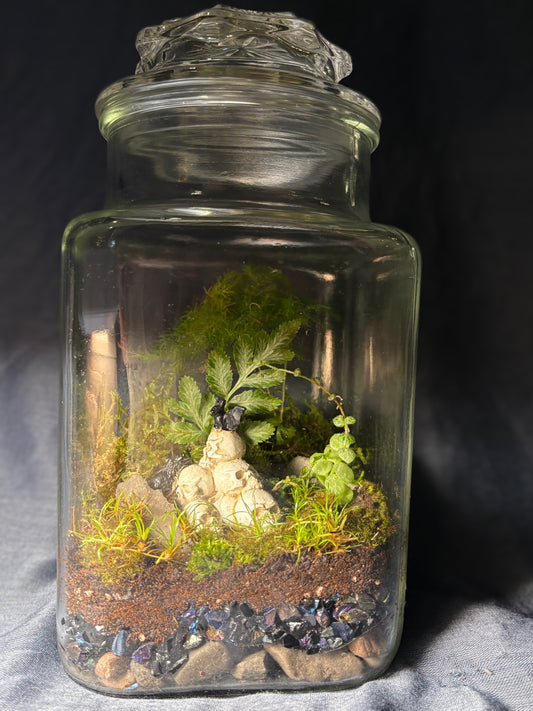 Terrarium