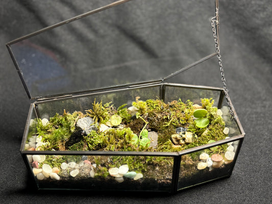Terrarium