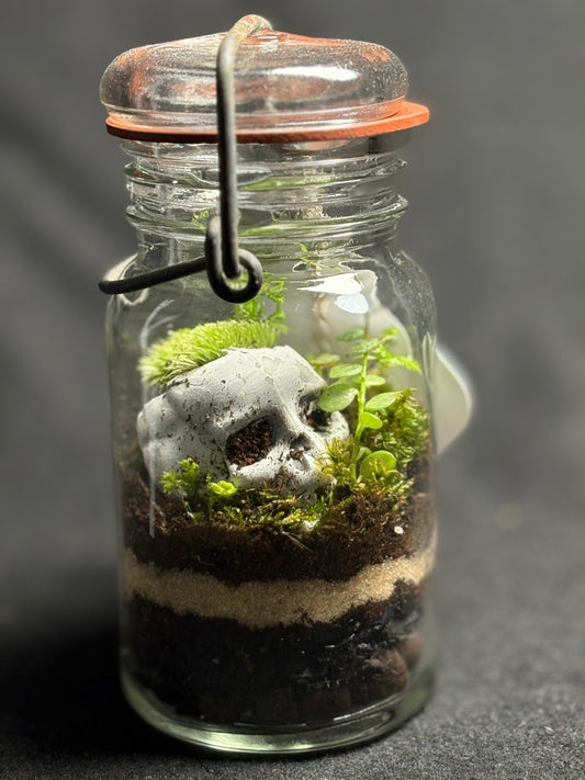 Terrarium