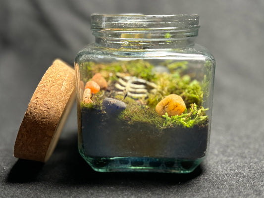 Terrarium
