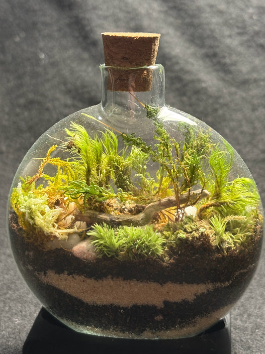 Terrarium with stand