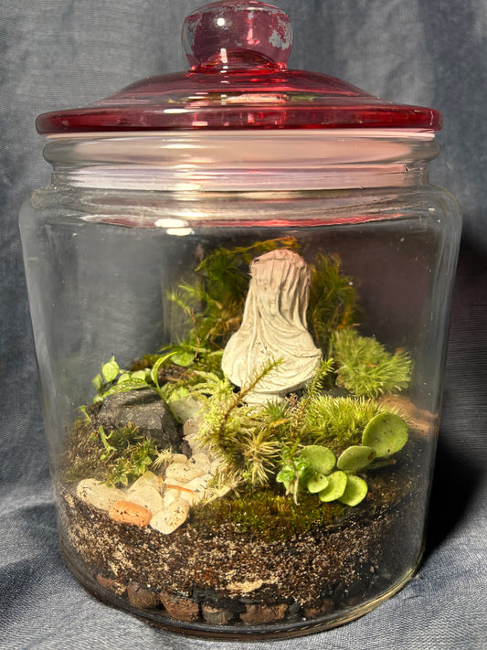 Terrarium