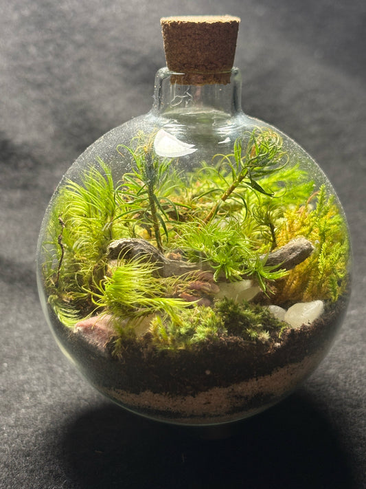 Terrarium with stand